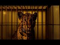 Eleanor Quinn Daughter of the Wind – Act II: The King’s Secret | A Film by Peter Cavallo