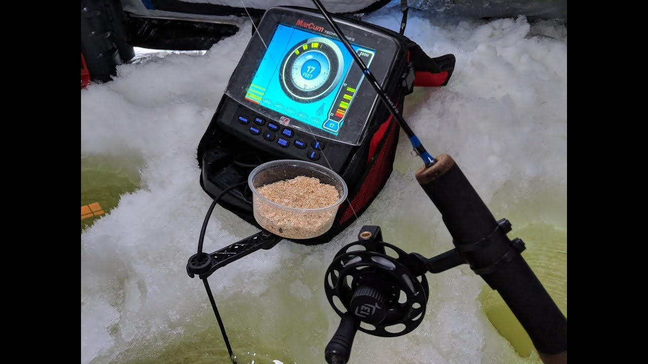 download wax worms for ice fishing download wax worms for ice fishing