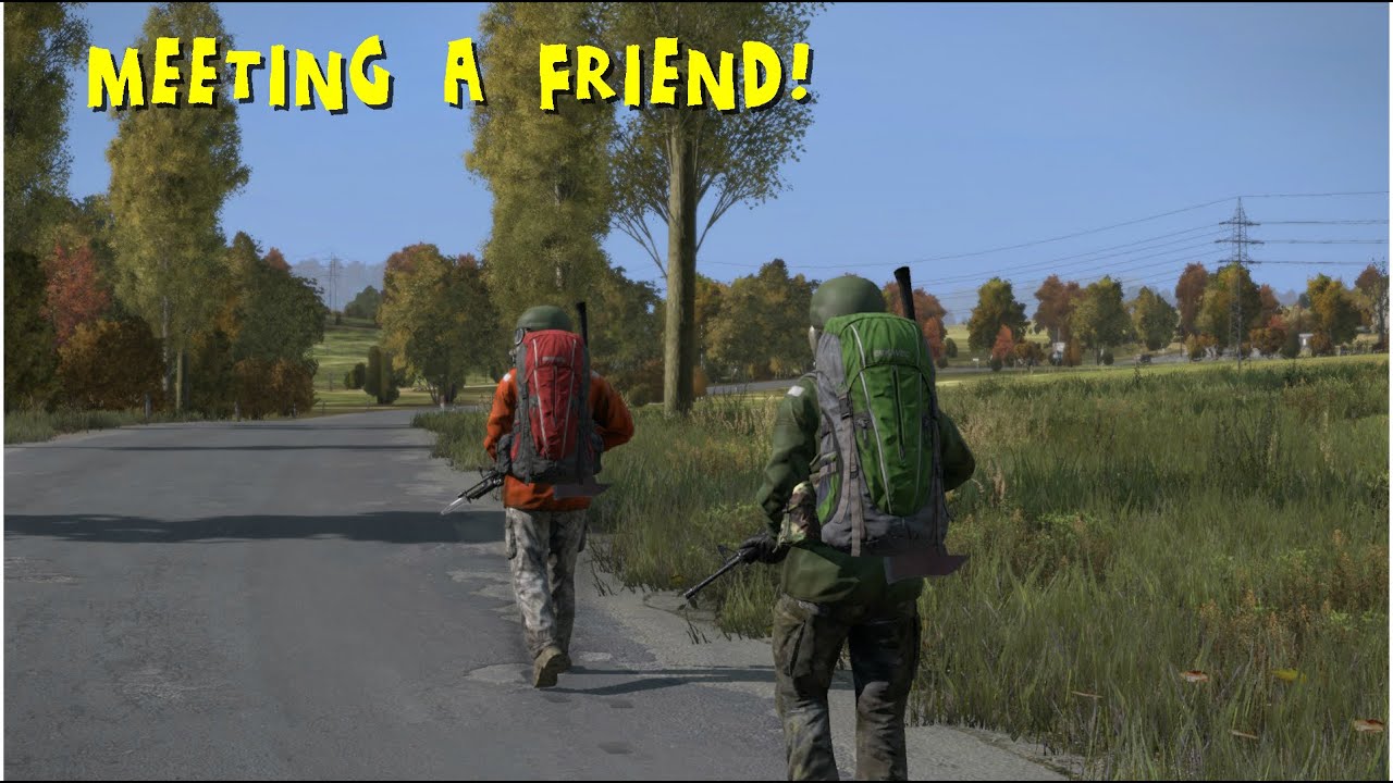 MEETING A FRIEND! - Void's DayZ | Series 0 Ep. 2
