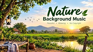  Peaceful Nature Background Music | Indian Village & Nature BGM #NatureBGM #VillageMusic  screenshot 3
