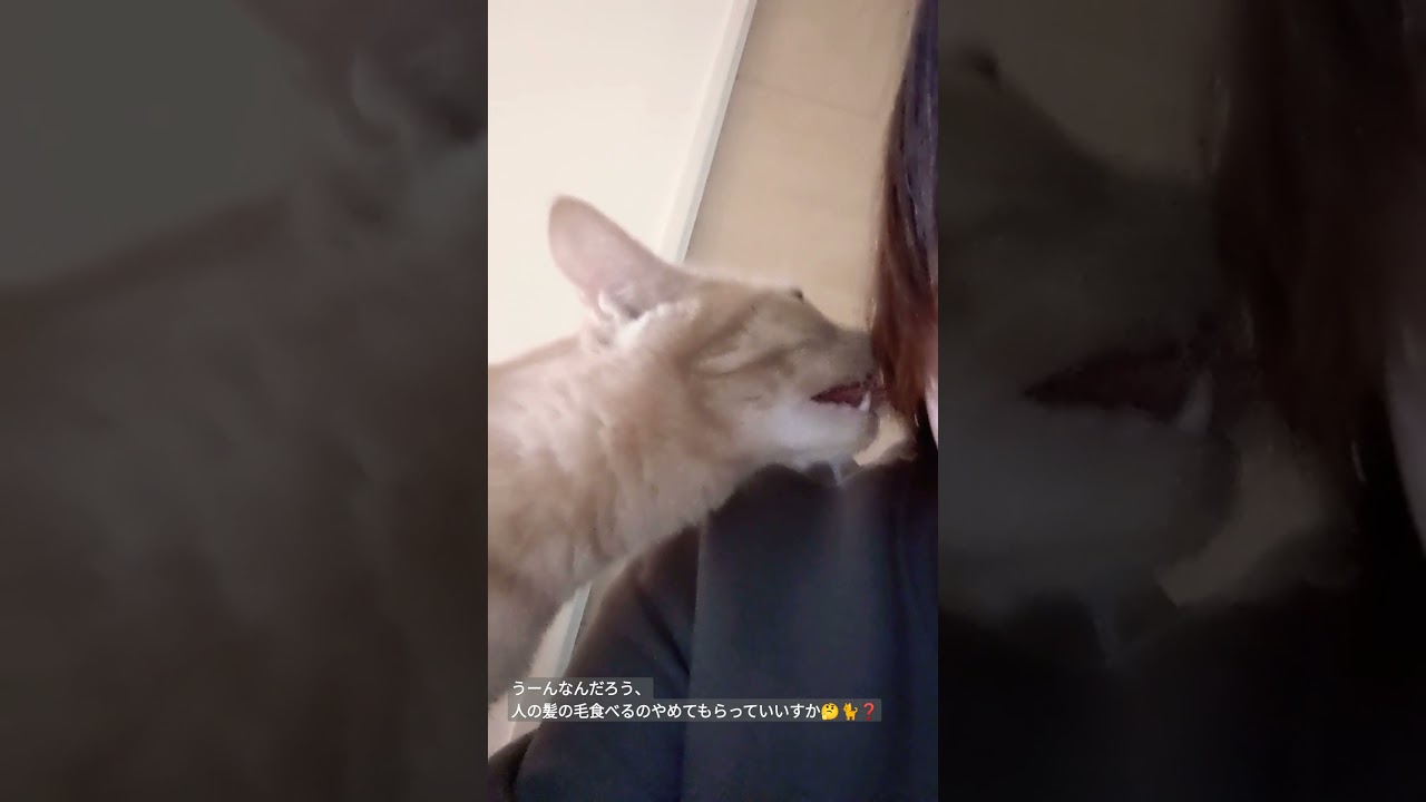 うーんなんだろう 人の髪の毛食べるのやめてもらっていいすか Youtube