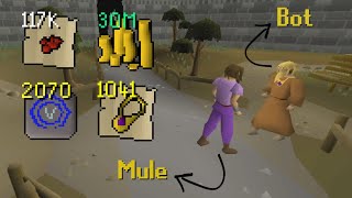 I Hunted Down Bot Farm Mules With Jagex