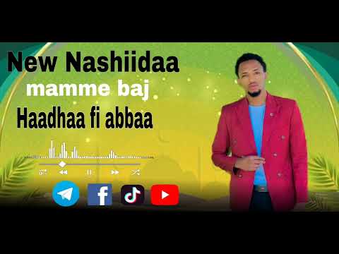 New Nashiidaa Mammee Bej