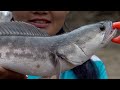 Fishing in Thailand- Return to Khao Sok National Park: Jungle Fishing for Snakeheads