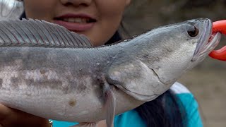 Fishing in Thailand- Return to Khao Sok National Park: Jungle Fishing for Snakeheads