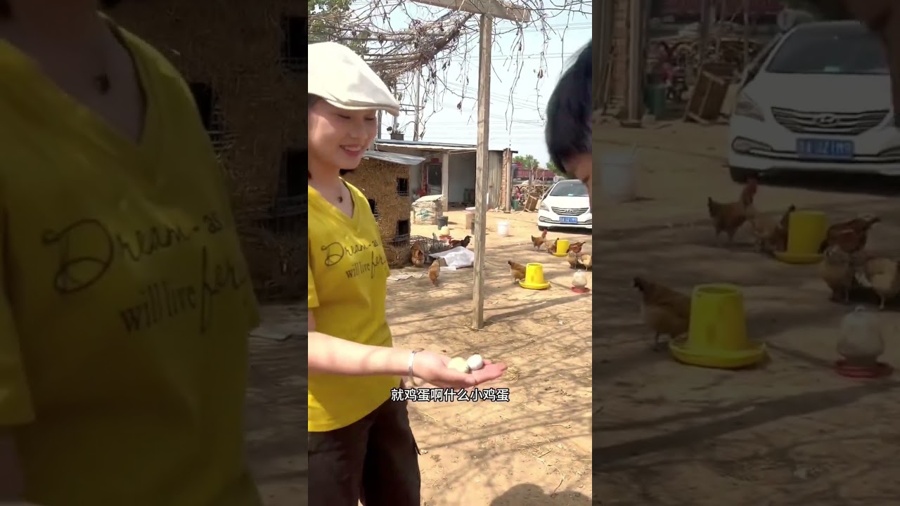 散养土鸡蛋#农村养殖人的真实生活 #记录我的农村生活