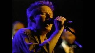 DON HENLEY : US TV 2000 Profile