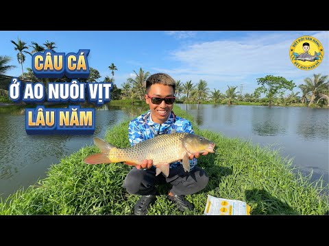 Câu Cá ở Ao Nuôi Vịt Lâu Năm: Phê Nhức Nách?