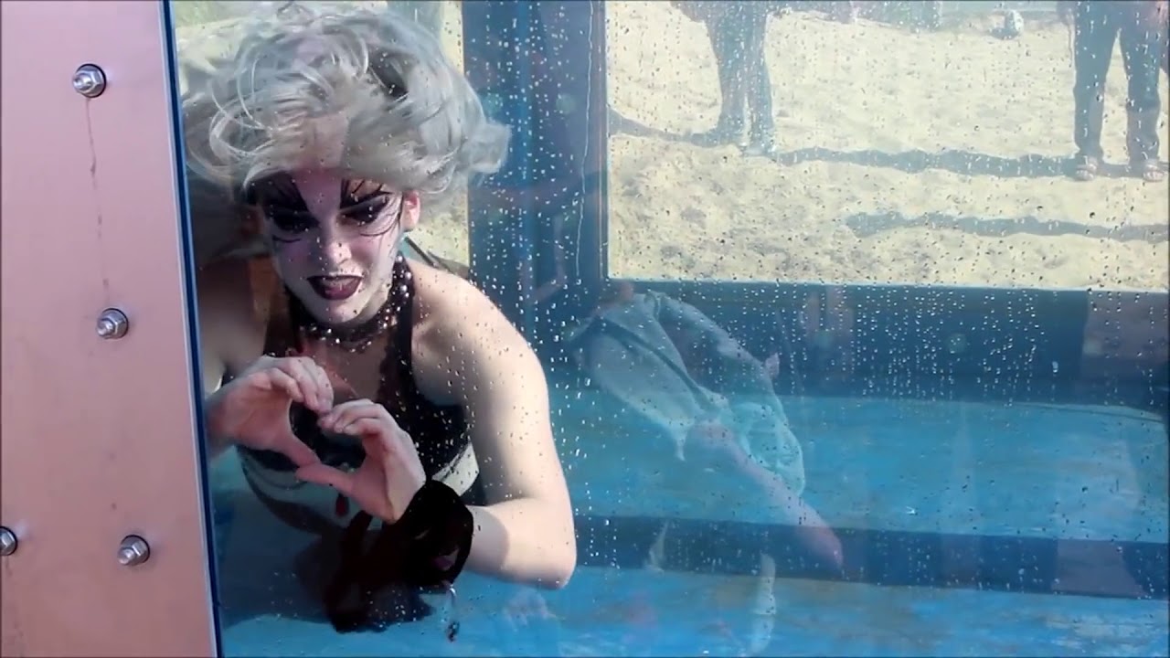 2020 Aqua Performance Group Client Video