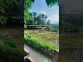 #shortvideo #youtubeshorts #motivation #lifeisbutadream #viralvideo #shorts #viral #reels #fyp #ff