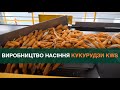 Виробництво насіння кукурудзи KWS: від збирання качанів з виробничих посівів до зберігання сировини