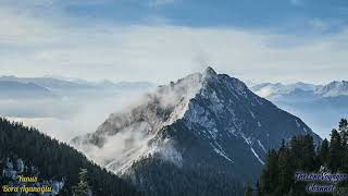 Yunus Bora Ayanoğlu