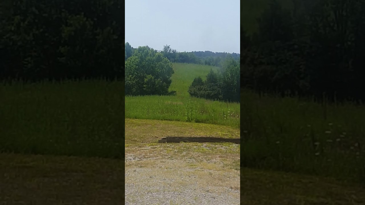 Controlled destruction of explosives found in a mailbox on 7-18-2017