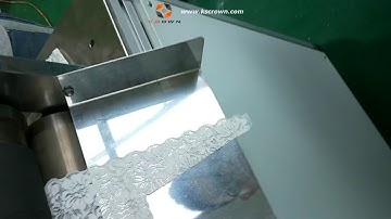 Automatic Lace Cutting Machine, Lace Shape Cutting Machine WL-GQ160