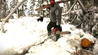 Christmas Rabbit and Duck Hunting from Remote Cabin! Harvesting Firewood for the Woodstove!