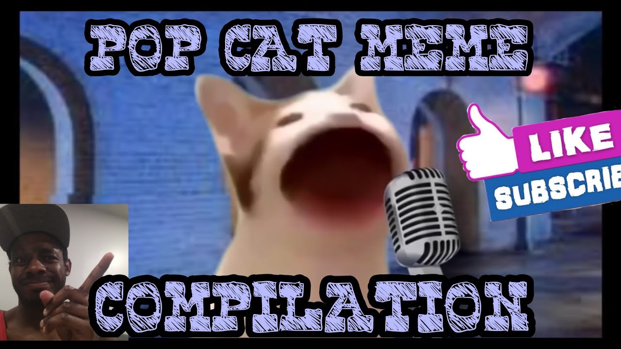THIS IS WAY TOO FUNNY 😂😂| Pop Cat Meme Compilation Reaction