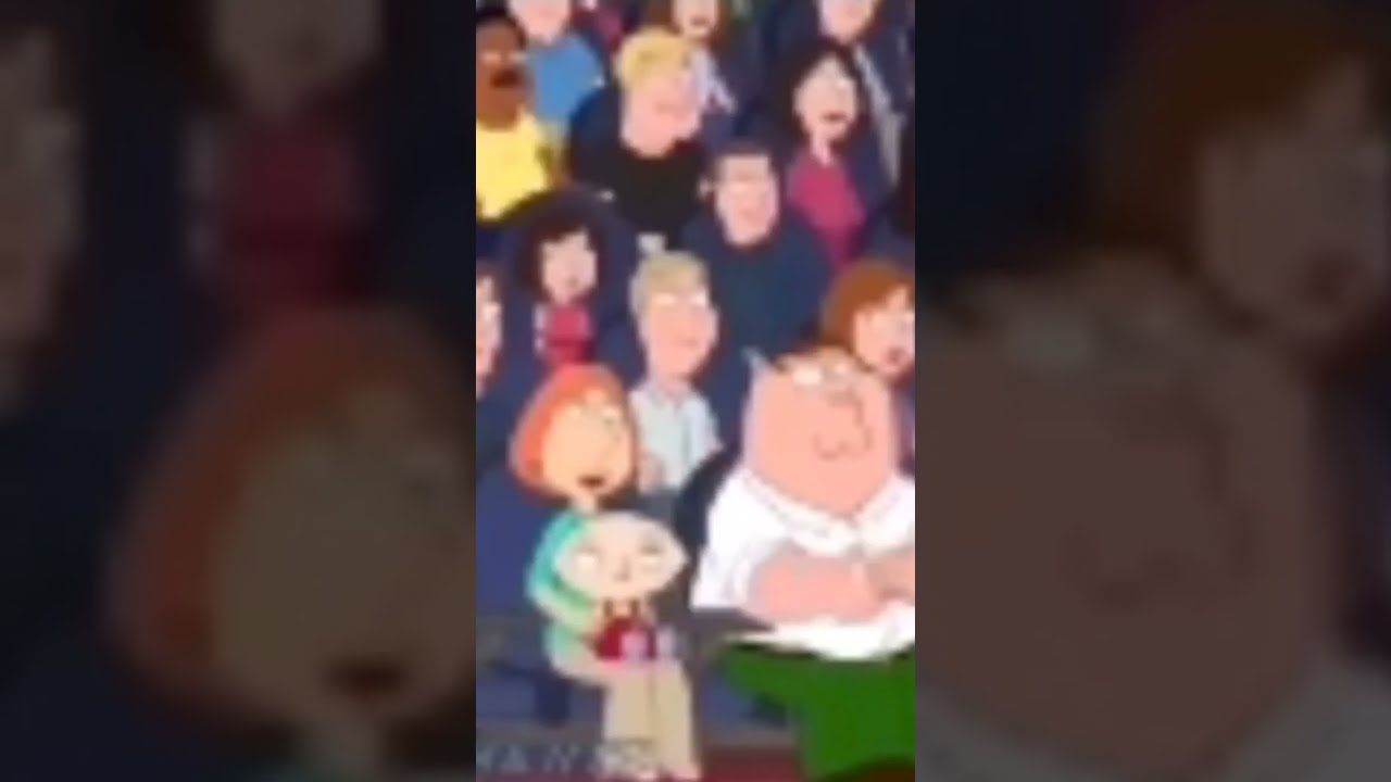 You Stupid N 