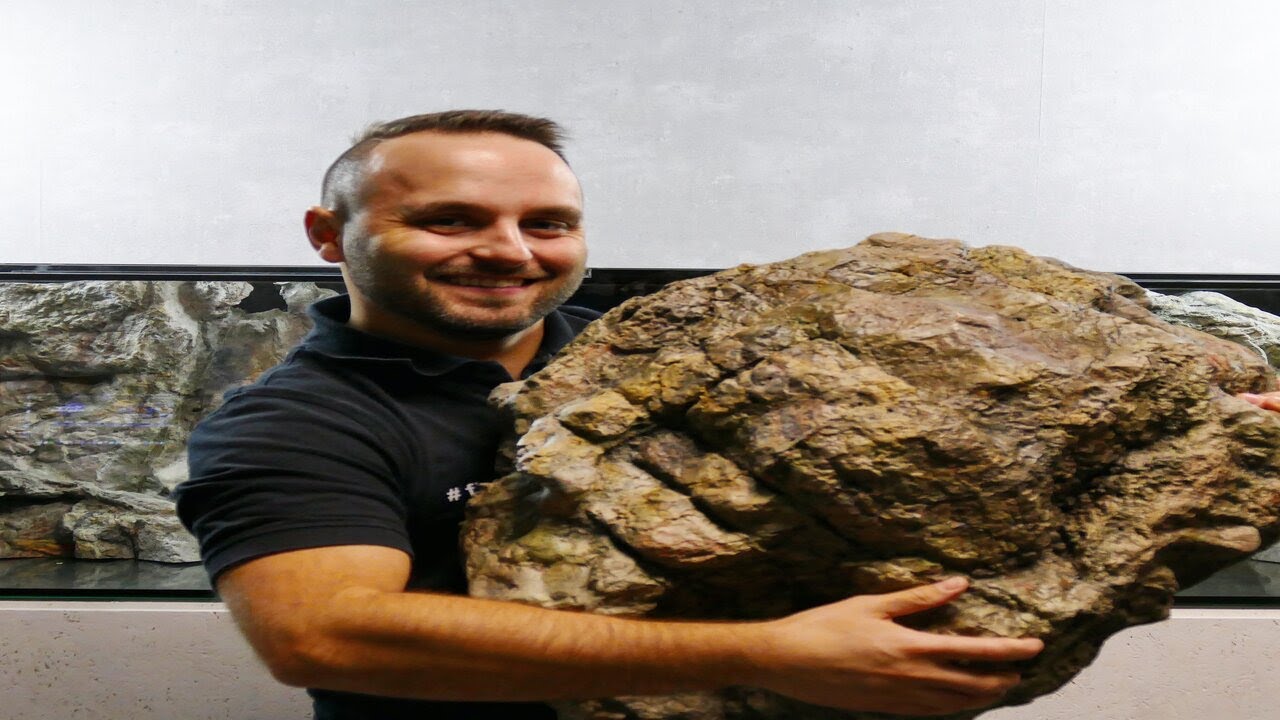 STEINE für mein MALAWIBUNTBARSCHAQUARIUM I TAX