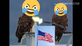 ‘Murica!