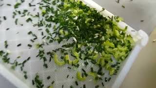 double head cuttern for cutting long onions
