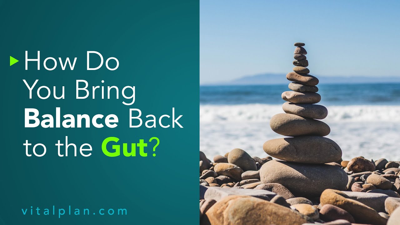 How Do You Bring Balance Back to the Gut? | Vital Plan Webinar Short