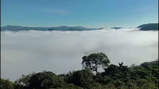 video 20241013 074235