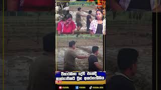 කවුද අප්පා මේ සරලකමට බැහැලා තියෙන්නේ