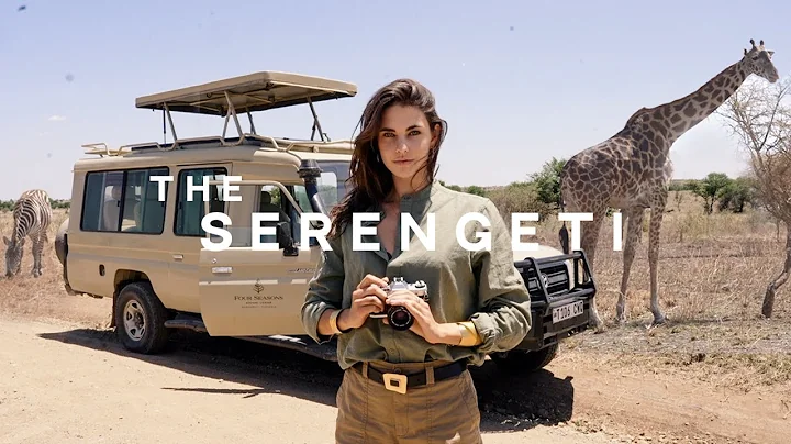let’s go on my dream safari in tanzania  🇹🇿 the nicest hotel in the serengeti thumbnail