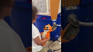 Birthday Magic at Build-A-Bear | Halloween Stitch + Nostalgia #BuildABear #BirthdayVlog #FamilyVlog