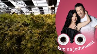 KEC NA 11 | Legalizacija marihuane | Miloš Simić, Irfan Ribić, Dragana Adžić, Stevan Kvas i Vlada B KEC NA 11 | Legalizacija marihuane | Miloš Simić, Irfan Ribić, Dragana Adžić, Stevan Kvas i Vlada B