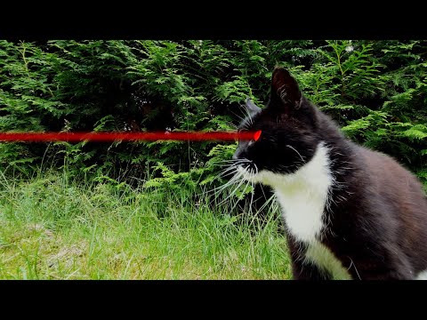 DIY - Cheap Recording Studio plus 29 short Animations