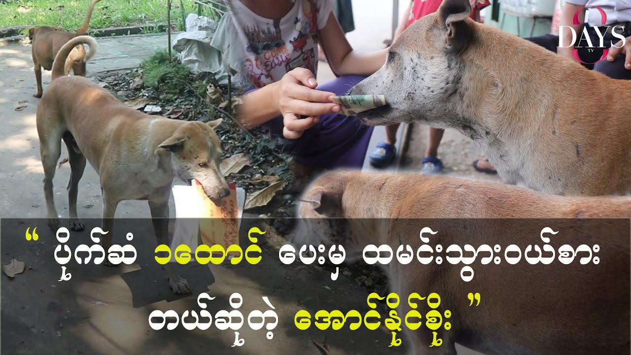 ပိုက်ဆံ ၁ထောင် ပေးမှ ထမင်းသွားဝယ်စားတယ်ဆိုတဲ့ အောင်နိုင်စိုး