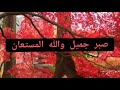 صبر جميل و الله المستعان صبر جميل و الله المستعان