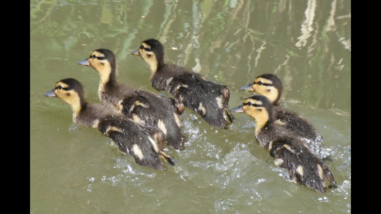 Day 50 (2025) - 17th May - Last locks before Crick!