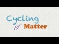 Cycles of Matter in Ecosystems: Water, Carbon, and Nitrogen Dynamics