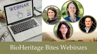 Collective approaches to scaling ecosystem regeneration