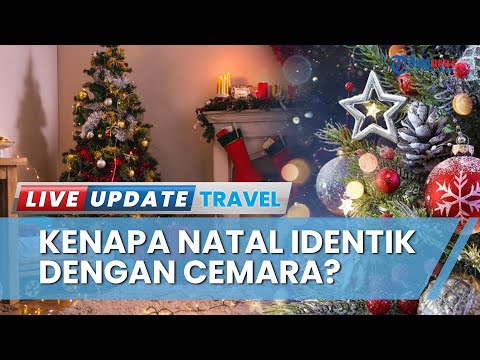 Video: Dari mana asal pohon cemara?