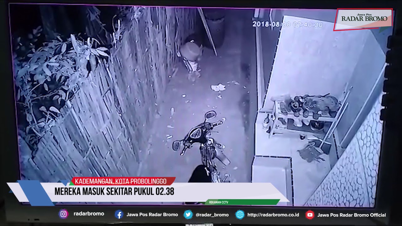 Tiga Pencuri Sapi Bertopi di Ketapang Terekam CCTV