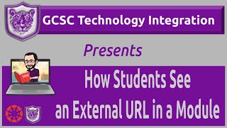 How Students See an External URL in a Canvas Module