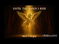 Until the dawn I rise. Erstellt von MicS Cologne mit Donna AI. 