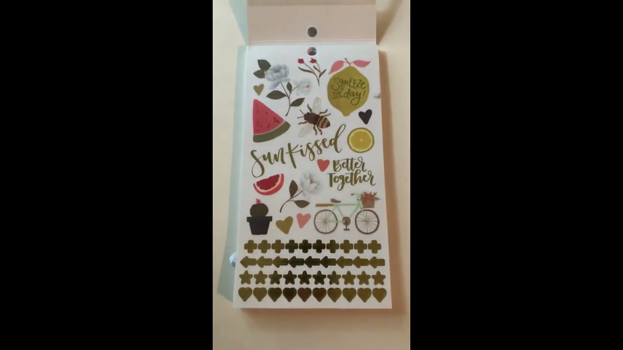 American Crafts onecanoetwo 1Canoe2 sticker book flip through 2019