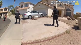 Goats Run Through Arizona Town