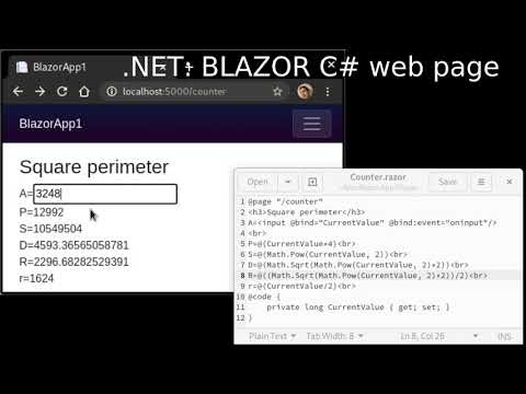 .NET (Blazor (c#+html)) Simple browser WebAssembly program