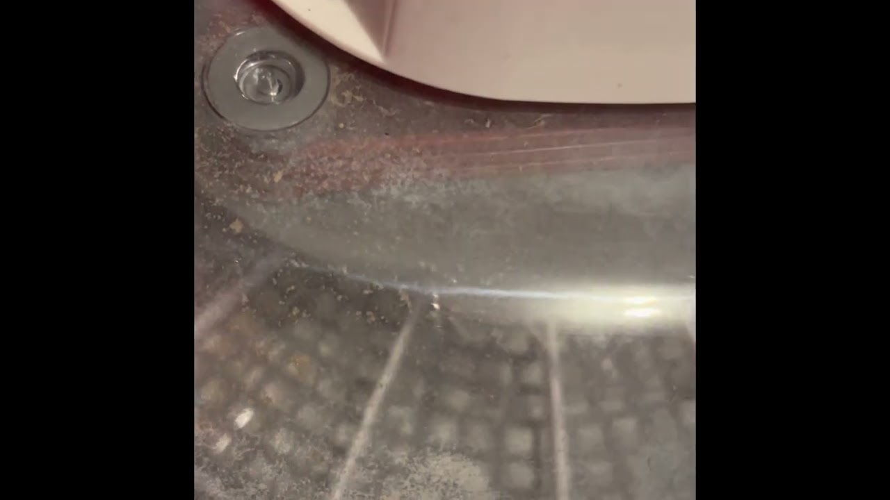 Cleaning and setting up Nurture Right 360 incubator for Coturnix quail eggs