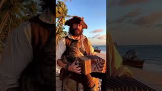Pirate and Maine Coon Tabby Cat #cat #melody