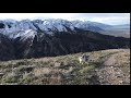 Finn  otis 365  finnegan pees on the mountain