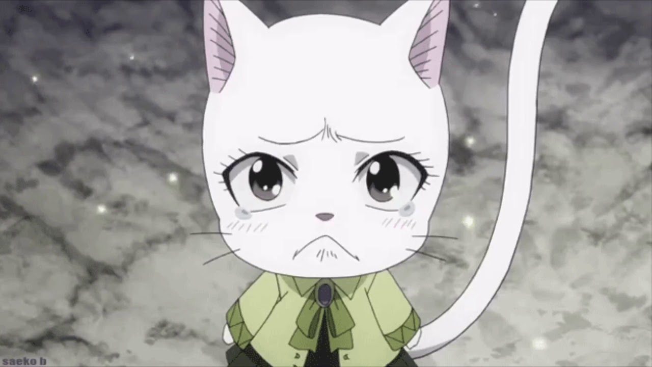 FairyTail Unreleased Soundtrack: Charle no Kokuhaku (Music Box Version) Extended