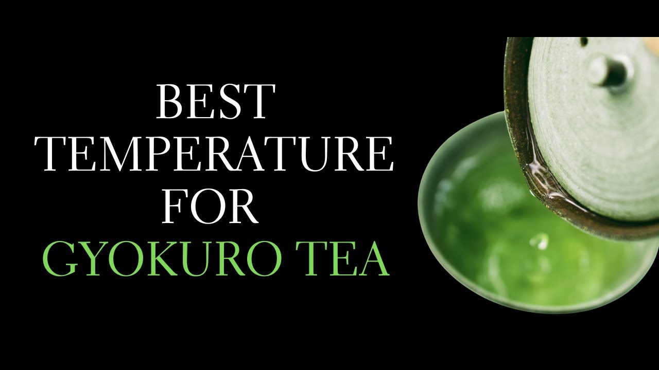 What Temperature Should You Use For Gyokuro YouTube What Temperature Should You Use For Gyokuro YouTube