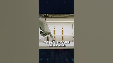 Solve Your Midnight Cravings with AI!  | Cybersecurity | Nextdoorsec