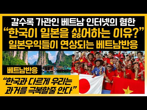 "한국은 왜그렇게 일본을 싫어해?" 기가막힌 베트남 혐한들의 역사인식 베트남반응 해외네티즌반응